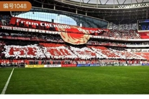 《成都蓉城首进亚冠 创造四川足球新历史》入围“三城三都”评比