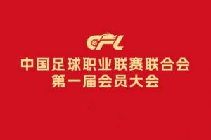 中足联成立时间线：2015年提出概念，几经波折历时10年终于成立