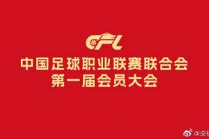 管办分离！官方：中足联正式成立，马宁等17人当选理事会理事