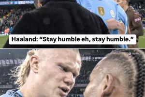 厄德高谈哈兰德“保持谦逊”言论：场上会情绪激动，场下就该翻篇