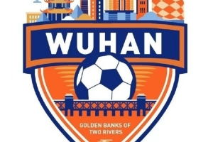 备战中冠，武汉两江金岸发试训公告：有职业联赛出场数据者优先