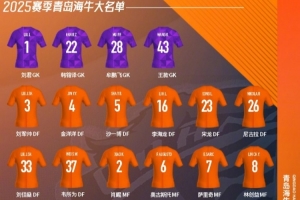 2025赛季青岛海牛一线队大名单，新赛季一起为青岛而战！