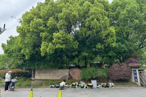 一路走好！浙江俱乐部门口，球迷献花悼念布彭扎