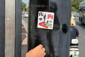 梁子结大了！去年有成都球迷拉苟活30年横幅，今年有人贴传承狗活