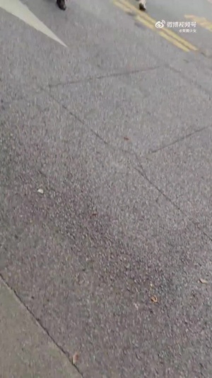 詹姆斯离开交大时大批球迷疯狂追车被交警不断鸣哨阻止